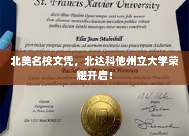 北美名校新篇章，北达科他州立大学荣耀绽放