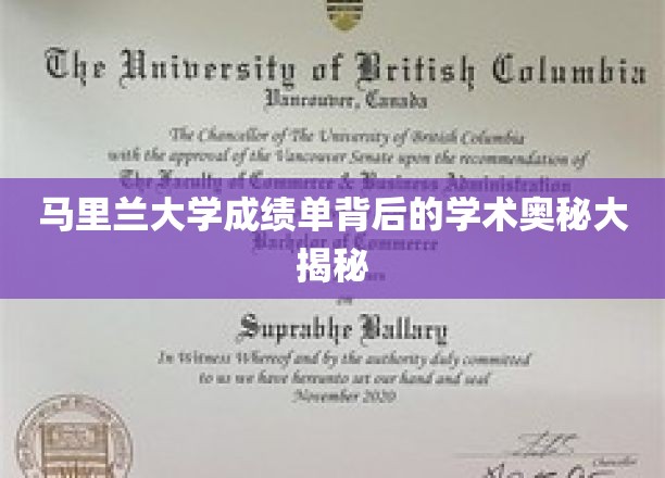 马里兰大学成绩单，揭开学术成绩的神秘面纱