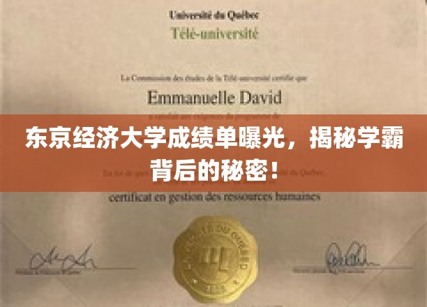 学霸养成记，东京经济大学成绩单背后的惊人真相