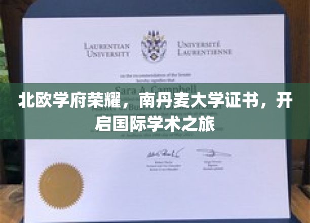 穿越北欧荣耀，解锁南丹麦大学国际通行证，启航学术全球之旅