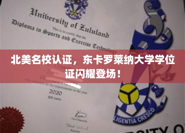 国际认可，东卡罗莱纳大学学位证璀璨亮相北美教育舞台！