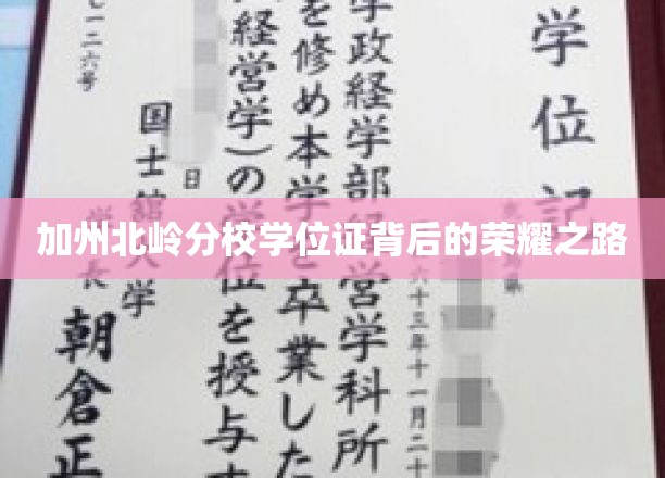 加州北岭荣耀，学位证书背后的奋斗传奇