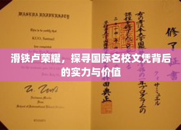 名校光环揭秘，滑铁卢荣耀背后的实力与文凭价值探秘