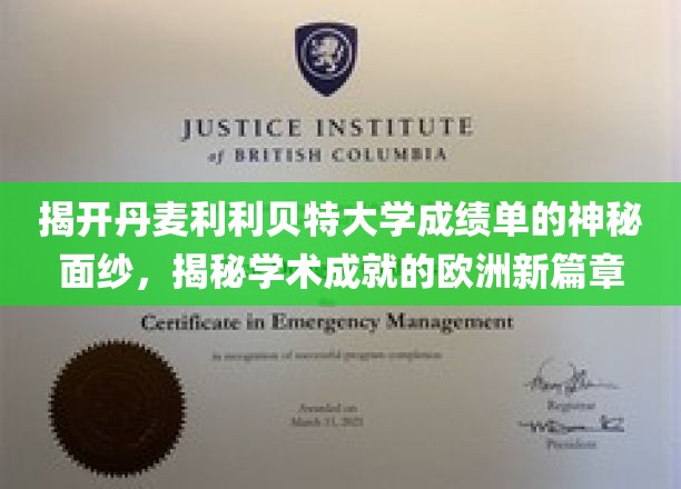 揭开丹麦利利贝特大学成绩单的神秘面纱，开启学术成就的欧洲新篇章