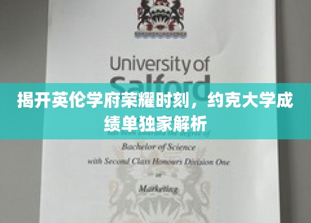 探寻约克大学辉煌成就，独家揭秘卓越成绩背后的故事