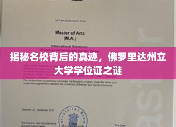 揭秘名校背后的真迹，佛罗里达州立大学学位证之谜