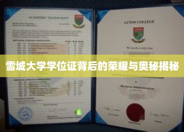 雪城大学学位证背后的荣耀与奥秘揭秘