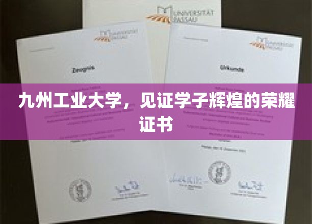 荣耀证书见证，九州工业大学培育英才的辉煌篇章