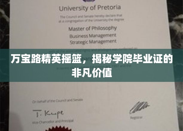 万宝路学院精英通行证，毕业证书背后的非凡影响力