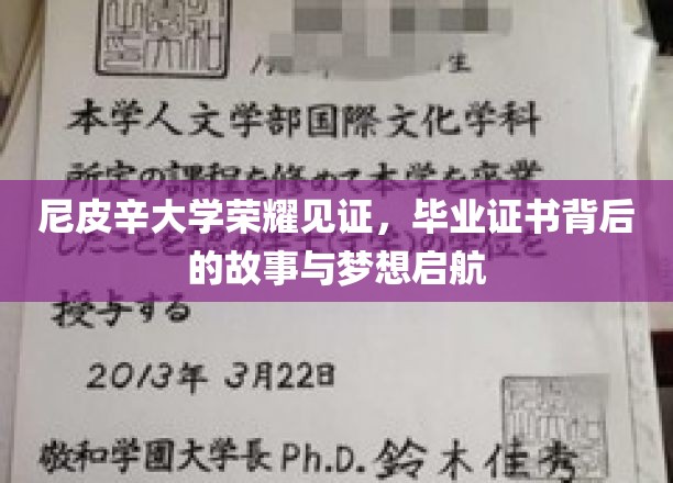 尼皮辛荣耀，证书背后的追梦之旅