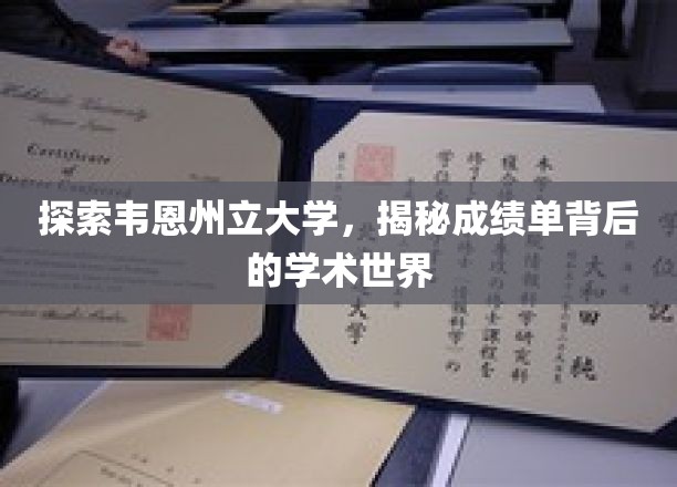 揭开韦恩州立大学成绩单面纱，探秘学术殿堂的奥秘