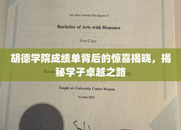 胡德学院成绩单背后的惊喜揭晓，揭秘学子卓越之路