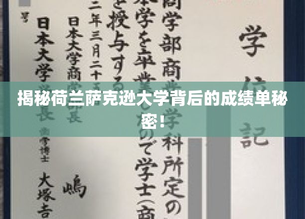 揭秘荷兰萨克逊大学背后的成绩单秘密！