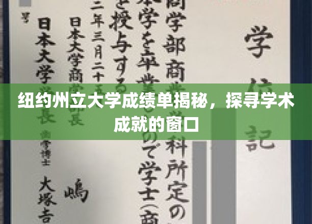 揭开学术奥秘，纽约州立大学成绩单背后的故事