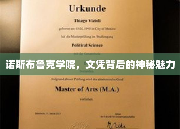 探寻诺斯布鲁克学院，文凭背后的独特魅力之谜