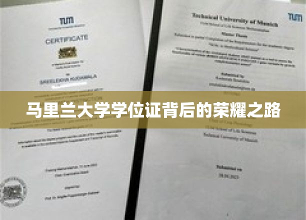 解锁马里兰大学学位证的辉煌征程