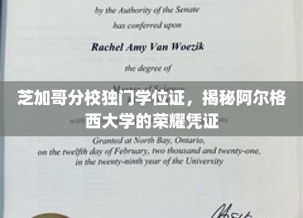 阿尔格西大学独家学位证，芝加哥分校的荣耀印记大揭秘