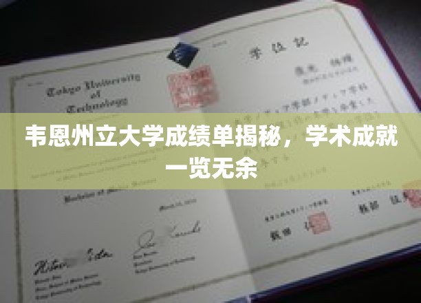 韦恩州立大学学子风采大揭秘，成绩单背后的学术实力展露无遗