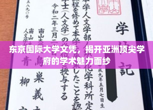 东京国际大学，解码亚洲顶级教育的卓越风采