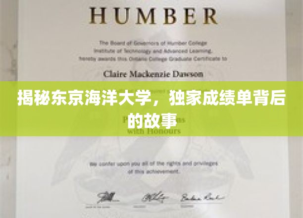 东京海洋大学，揭秘独家成绩单背后的非凡旅程
