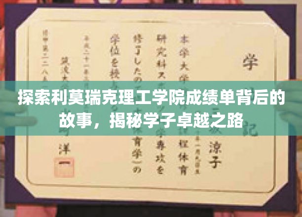 探索利莫瑞克理工学院成绩单背后的故事，揭秘学子卓越之路