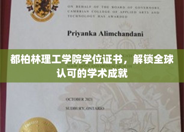 国际通行证，都柏林理工学院学位证书引领学术新高度