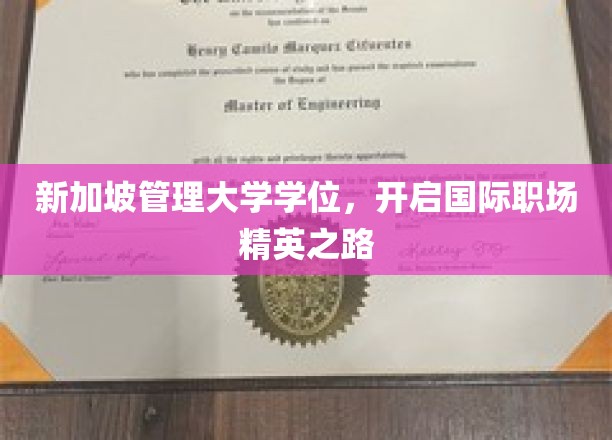 迈向全球精英，新加坡管理大学学位引领职场飞跃