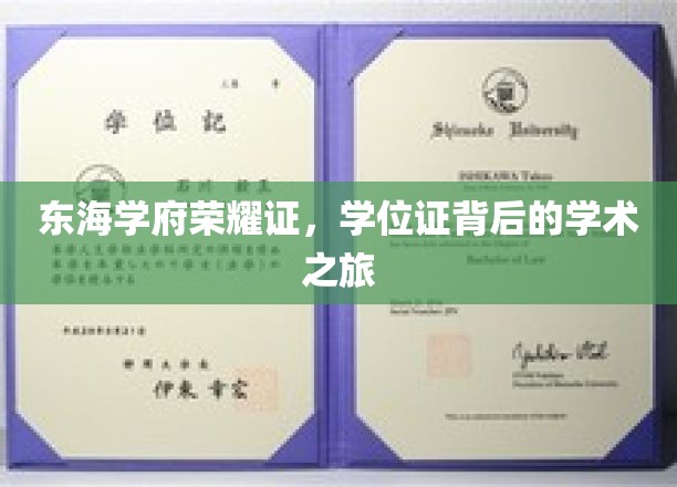 探寻东海学府荣耀之路，学位证背后的学术征途