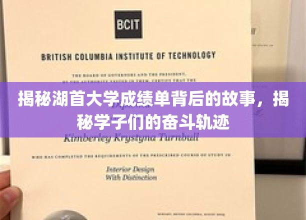 探寻湖首大学学子成绩单背后的励志篇章