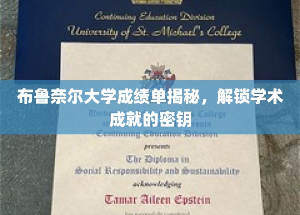 布鲁奈尔大学成绩单背后的学术奥秘，揭秘成就解锁之道