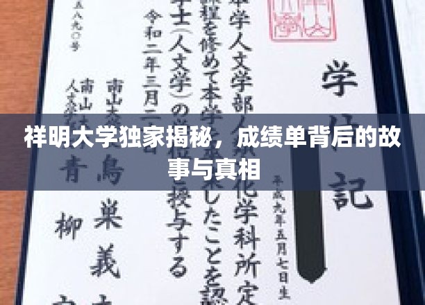 祥明大学独家揭秘：成绩单背后的故事与真相