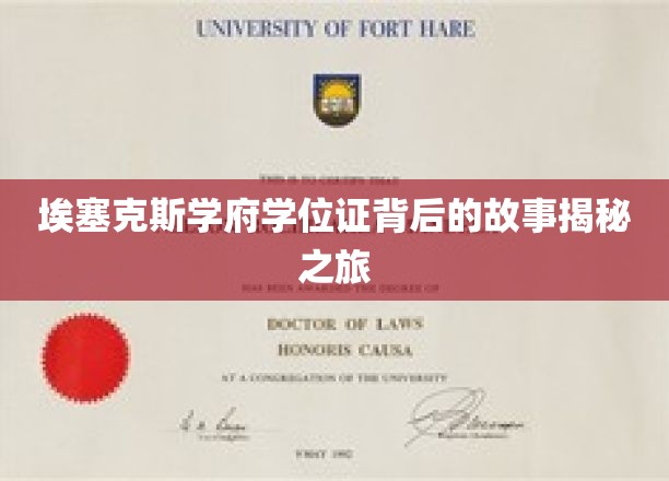 探寻埃塞克斯学府学位证背后的传奇历程