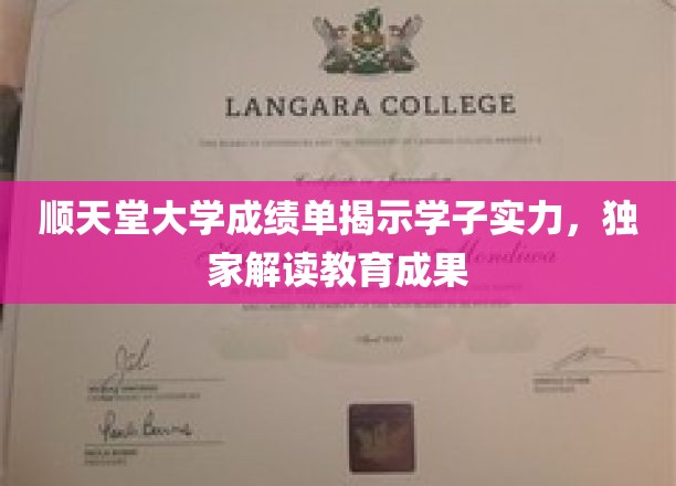 顺天堂大学成绩单揭示学子实力，独家解读教育成果