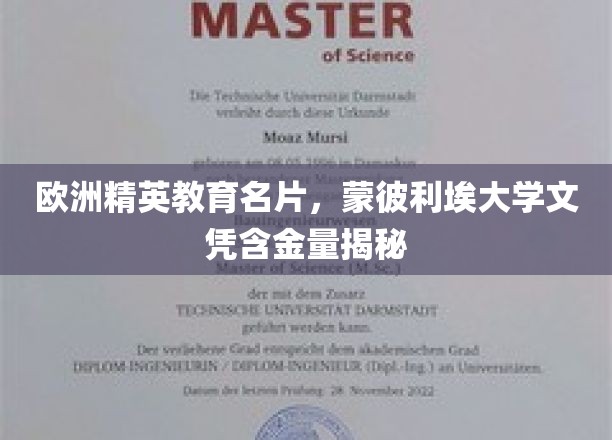 揭秘蒙彼利埃大学，欧洲精英教育之金牌文凭背后的奥秘