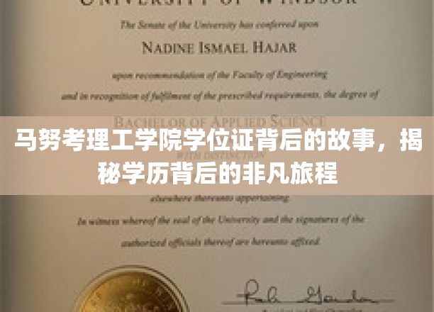马努考理工学院学位证背后的故事,揭秘学历背后的非凡旅程
