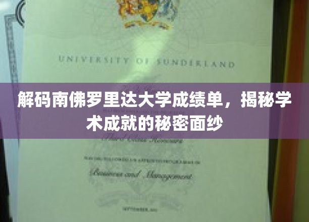 揭开南佛罗里达大学成绩单的神秘面纱