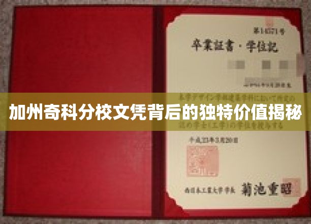 加州奇科分校文凭，解锁职场新机遇的秘密钥匙