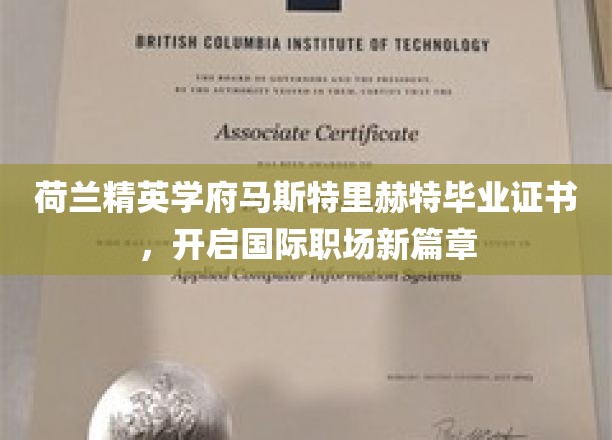 荷兰马斯特里赫特学府荣耀证书，引领全球职场新里程