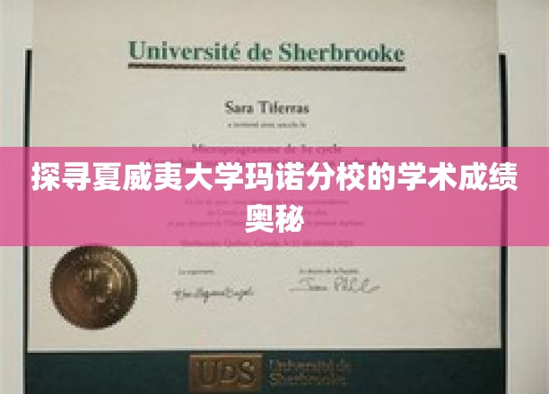 揭开夏威夷大学玛诺分校学术成绩的神秘面纱
