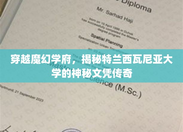 穿越魔幻学府，揭秘特兰西瓦尼亚大学的神秘文凭传奇
