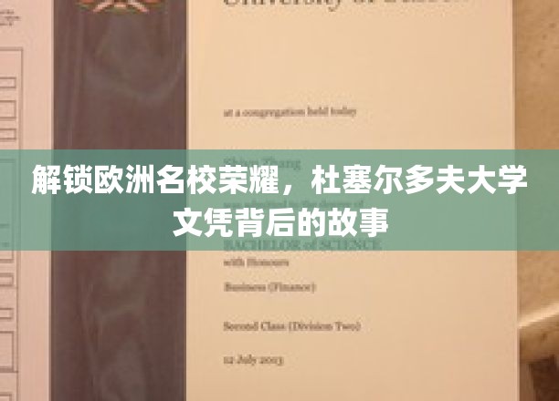 欧洲精英学府之谜，杜塞尔多夫大学文凭背后的璀璨历程