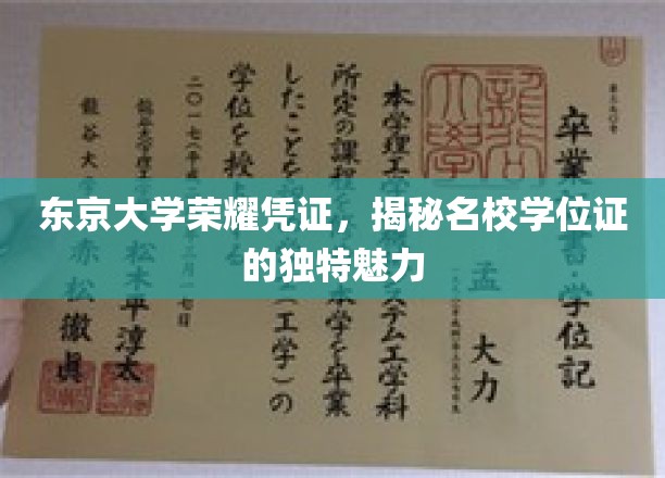 解码东京大学学位证书，名校荣耀背后的独特印记