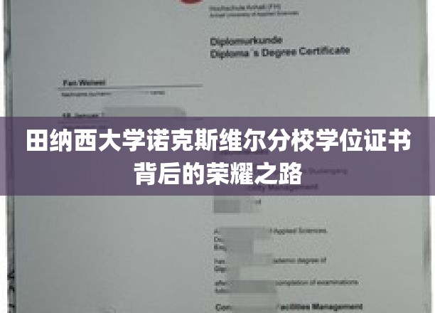探寻田纳西大学荣耀学位证书背后的砥砺征程