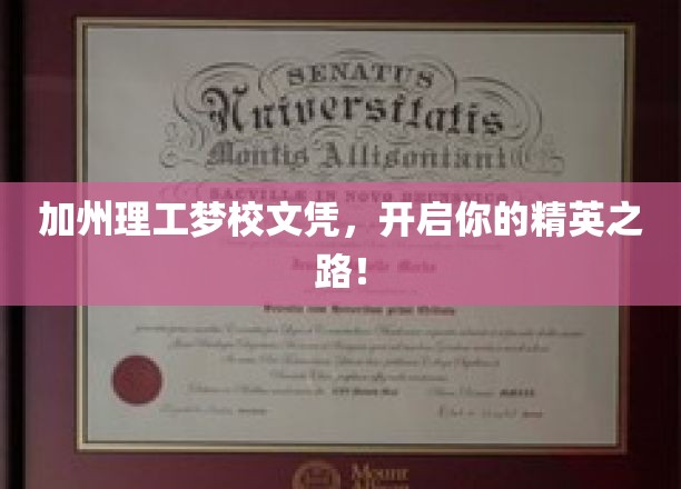 精英启航，加州理工文凭，成就非凡未来之路！