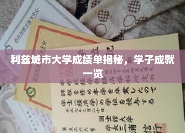 利兹城市大学成绩单揭秘，学子成就一览