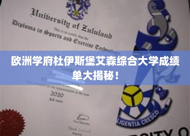 揭开杜伊斯堡艾森综合大学成绩单背后的精彩世界