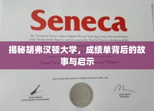 探寻胡弗汉顿大学成绩单背后的秘密与成长启示