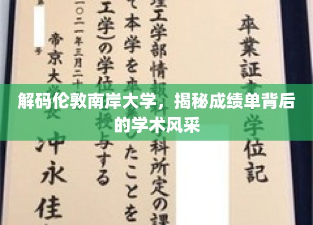 解码伦敦南岸大学，揭示成绩单背后的学术魅力