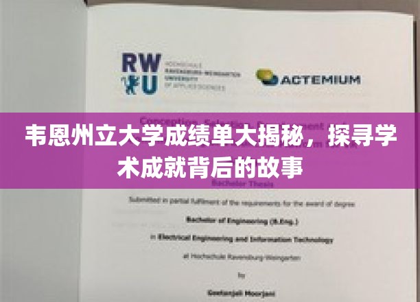 韦恩州立大学成绩单大揭秘，探寻学术成就背后的故事