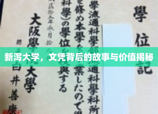 新泻大学，文凭背后的故事与价值揭秘